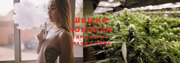apvp Аркадак