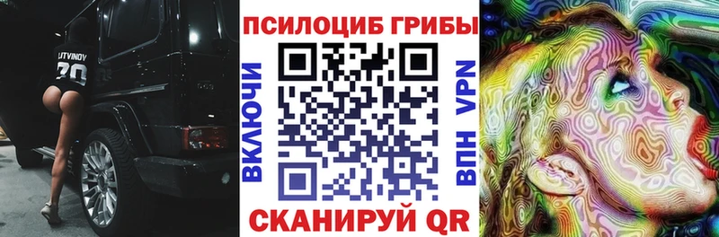 Псилоцибиновые грибы Psilocybine cubensis  сколько стоит  Гурьевск 